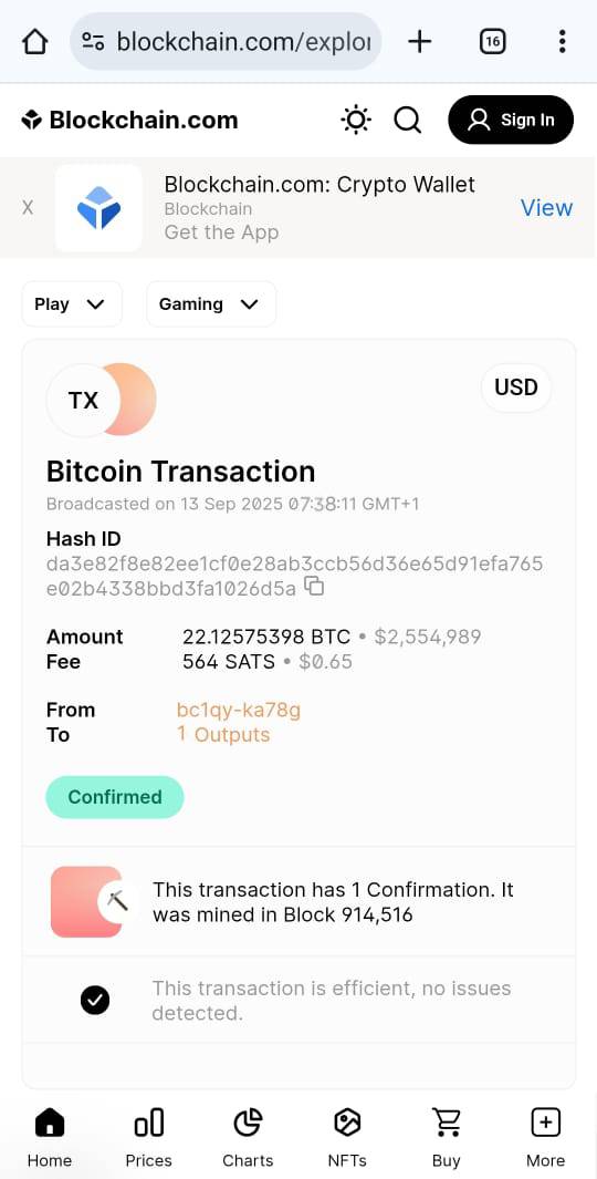 Flash BTC Sender 3.7 One Lifetime - Image 4
